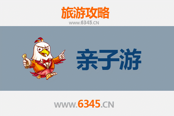 离岛亲子游全攻略：带娃探索海岛秘境，寓教于乐的自然课堂